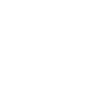 Flash動畫